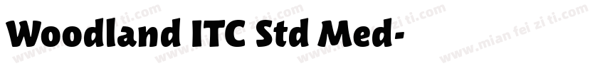 Woodland ITC Std Med字体转换